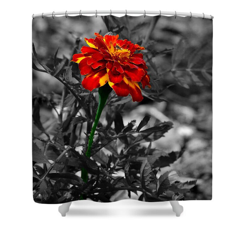 Selected Color Shower Curtain featuring the photograph Disdain by Bradley Dever