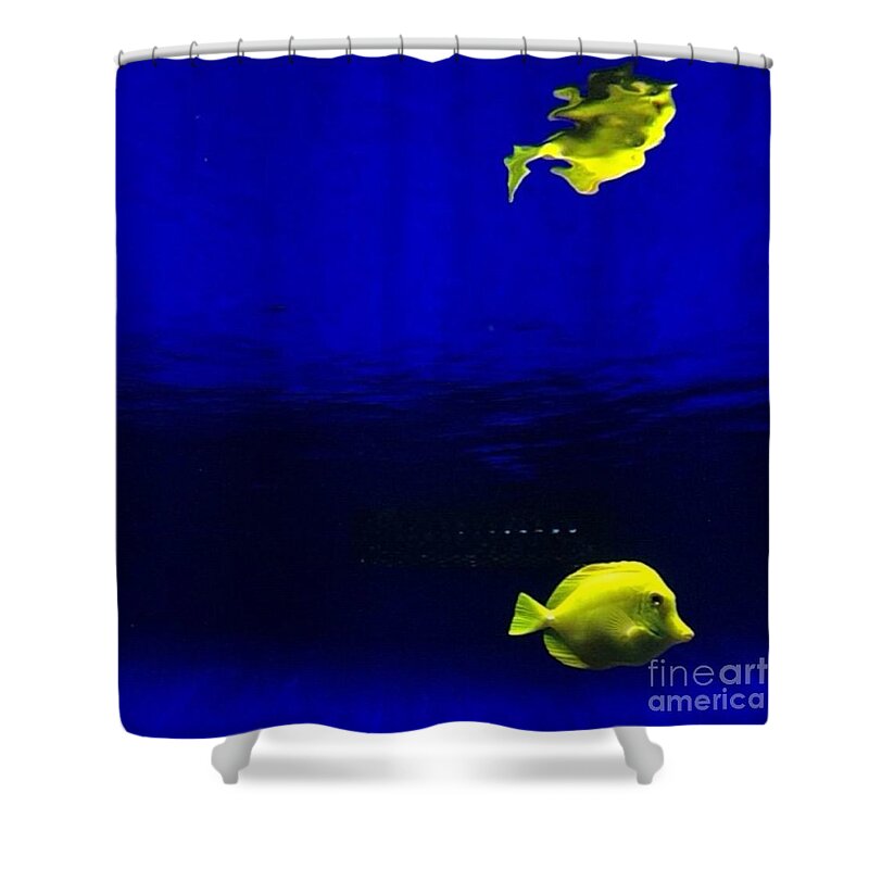 Fish Shower Curtain featuring the photograph Distortion by Denise Railey