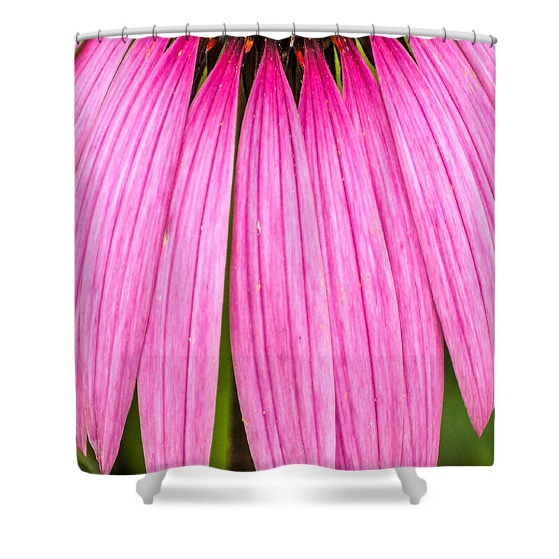 Flowers Shower Curtain featuring the photograph Distortions by Stewart Helberg