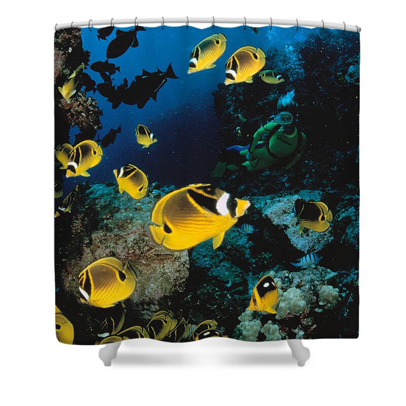 Animal Art Shower Curtain featuring the photograph Diver And Butterflyfish by Dave Fleetham - Printscapes