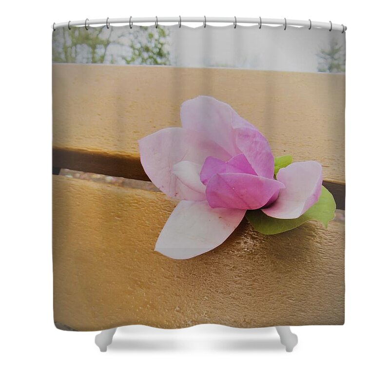 Magnolia Shower Curtain featuring the photograph Divine Beauty by Sonali Gangane