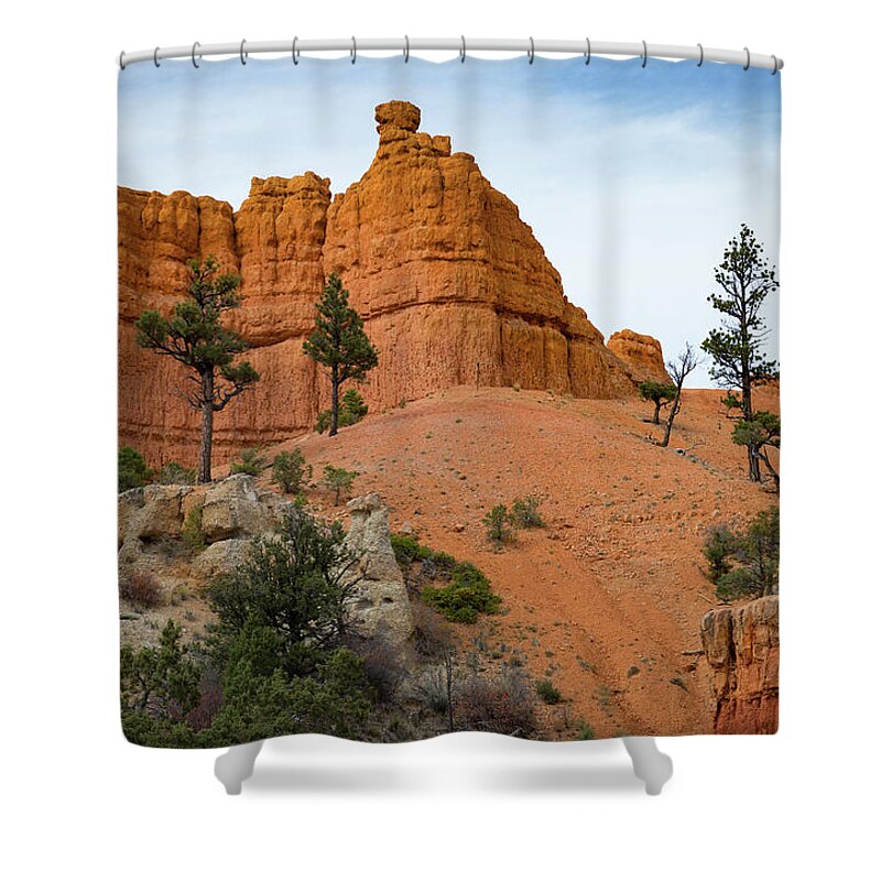 Dixie National Forest Shower Curtain featuring the photograph Dixie National Forest by Kathleen Scanlan