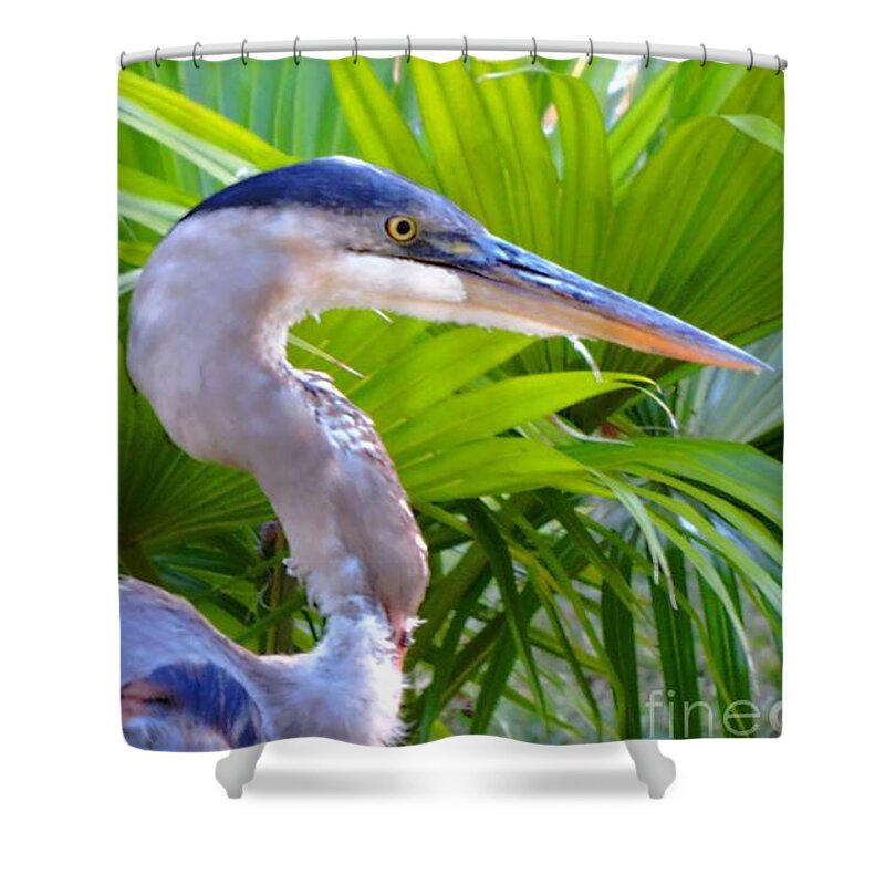 Great Blue Heron Shower Curtain featuring the photograph Dixieland Blues by Tami Quigley