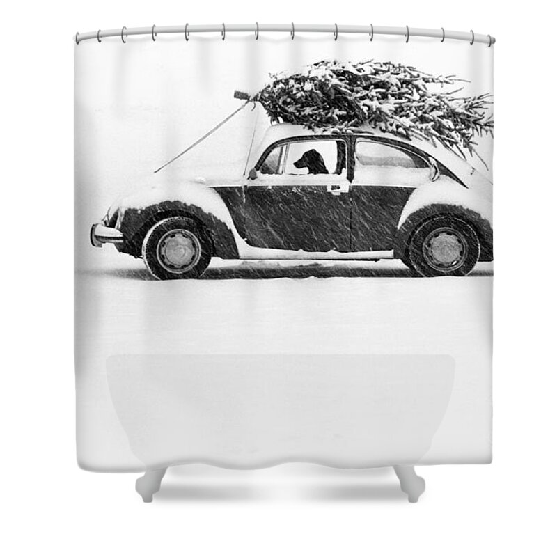 Animal Shower Curtain featuring the photograph Dog in Car by Ulrike Welsch and Photo Researchers