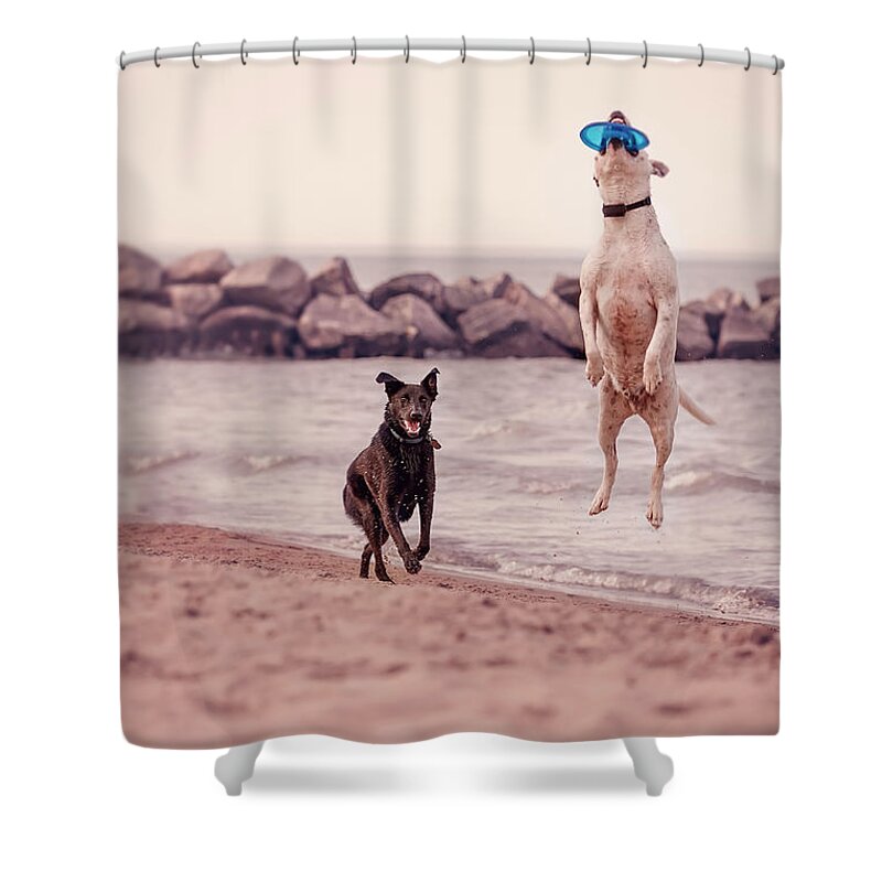 Action Shower Curtain featuring the photograph Dog with frisbee by Peter Lakomy