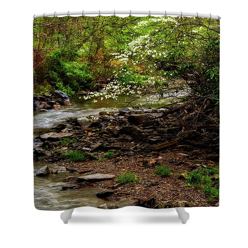 Spring Shower Curtain featuring the photograph Dogwood at the Bend by Thomas R Fletcher