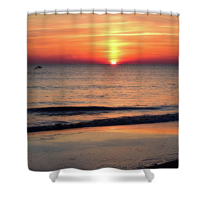 Dolphin Shower Curtain featuring the photograph Dolphin Jumping in the Sunrise by Nicole Lloyd
