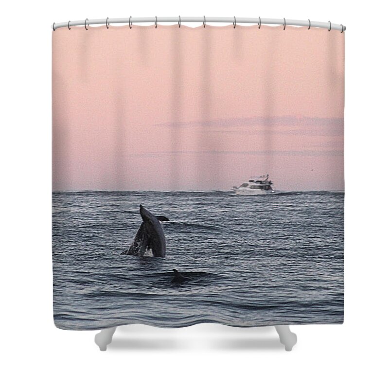 Animals Shower Curtain featuring the photograph Dolphins at Play by Robert Banach