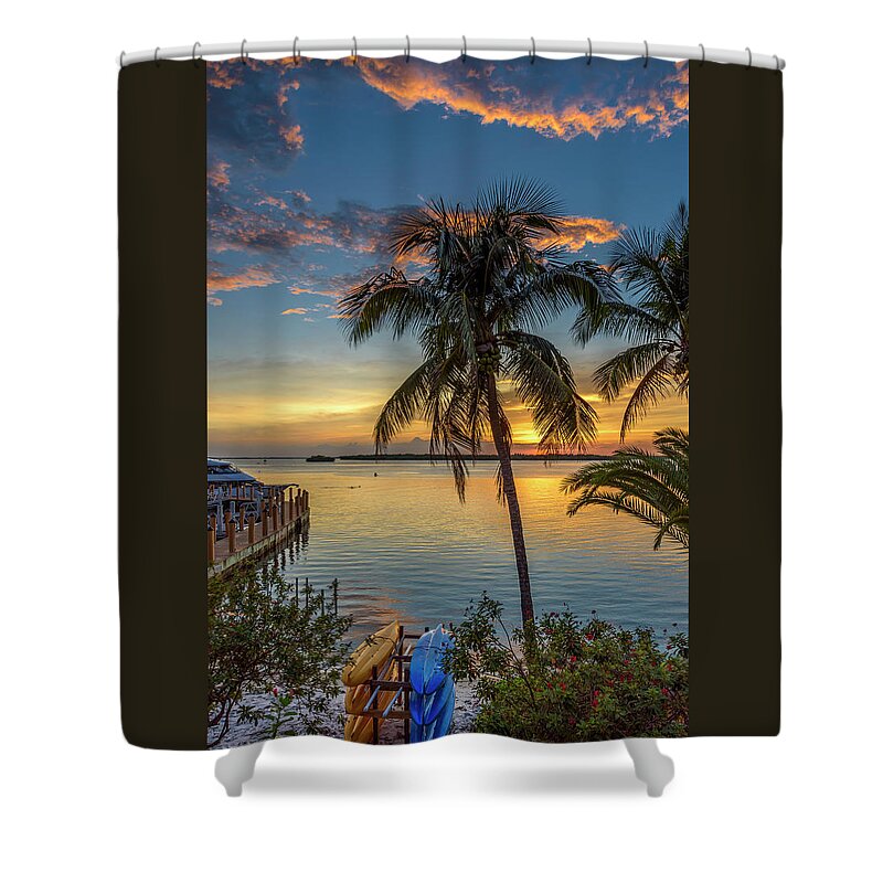 Dolphins Shower Curtain featuring the photograph Dolphins In San Carlos Bay by Steven Sparks