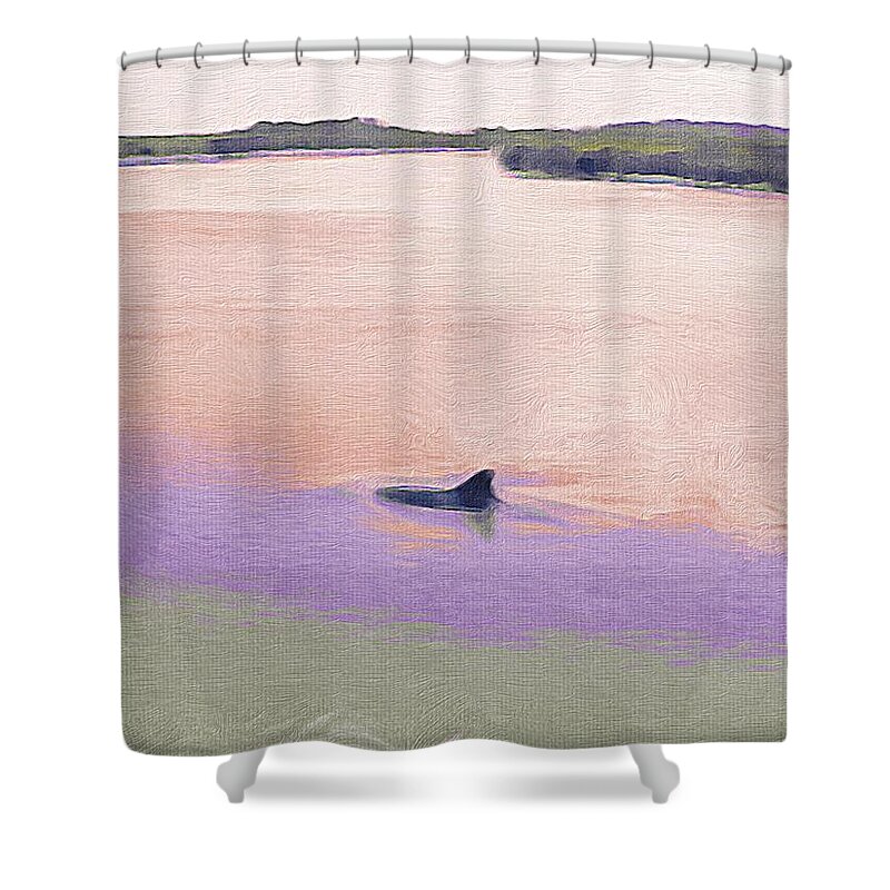 Dolphin Shower Curtain featuring the photograph Dolphins in the river by Patricia Greer