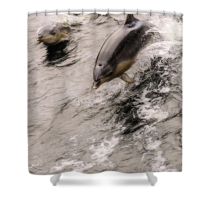 Dolphin Shower Curtain featuring the photograph Dolphins by Werner Padarin