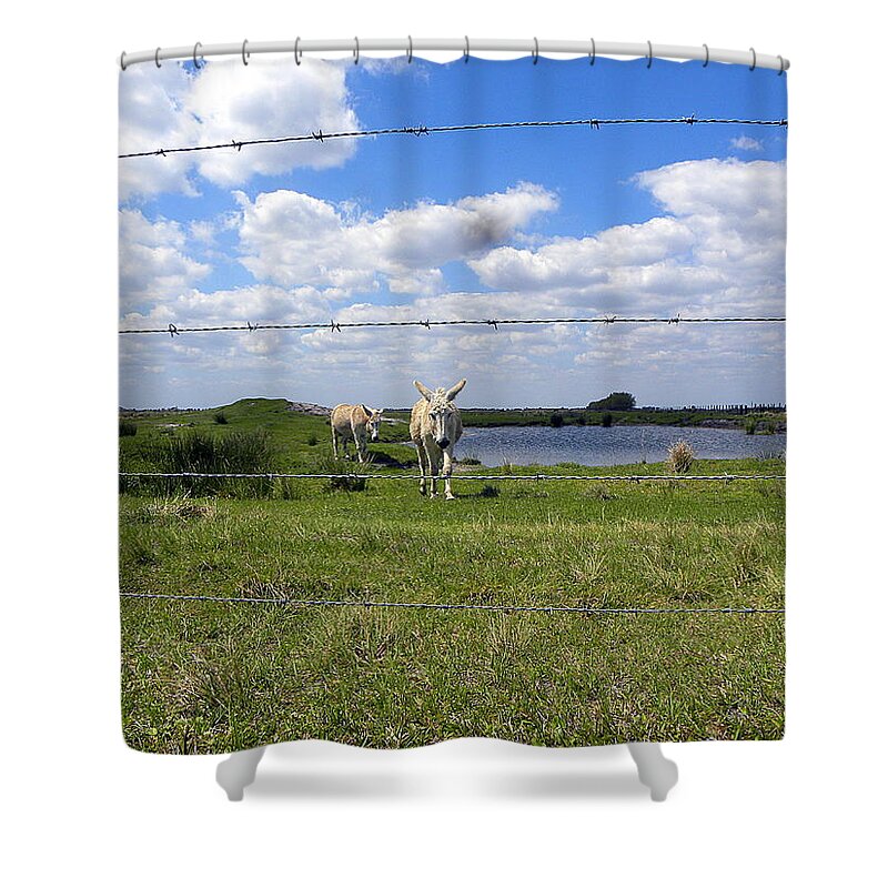 Horse Shower Curtain featuring the photograph Don't Fence Me In by Christopher Mercer