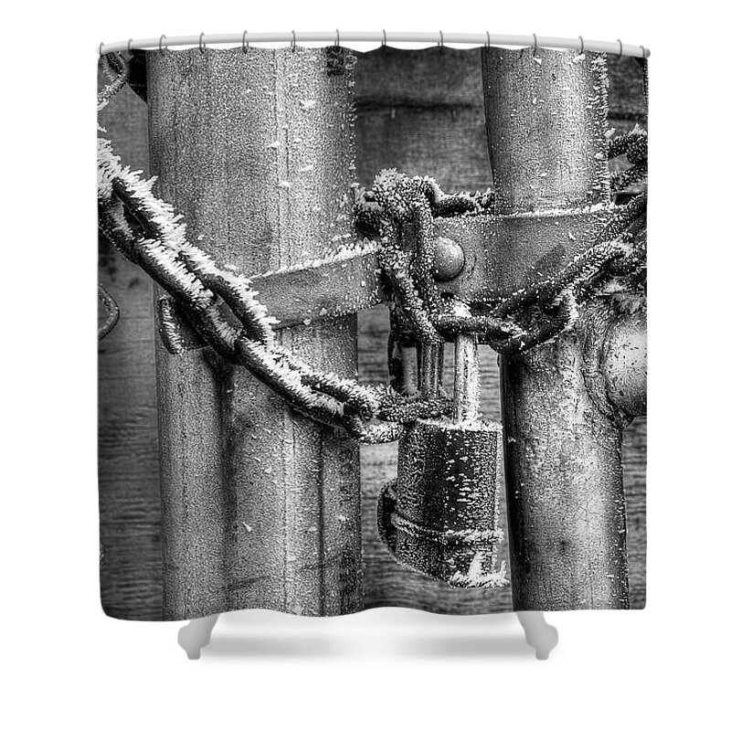 Fence Shower Curtain featuring the photograph Don't Fence Me Out by Mike Eingle