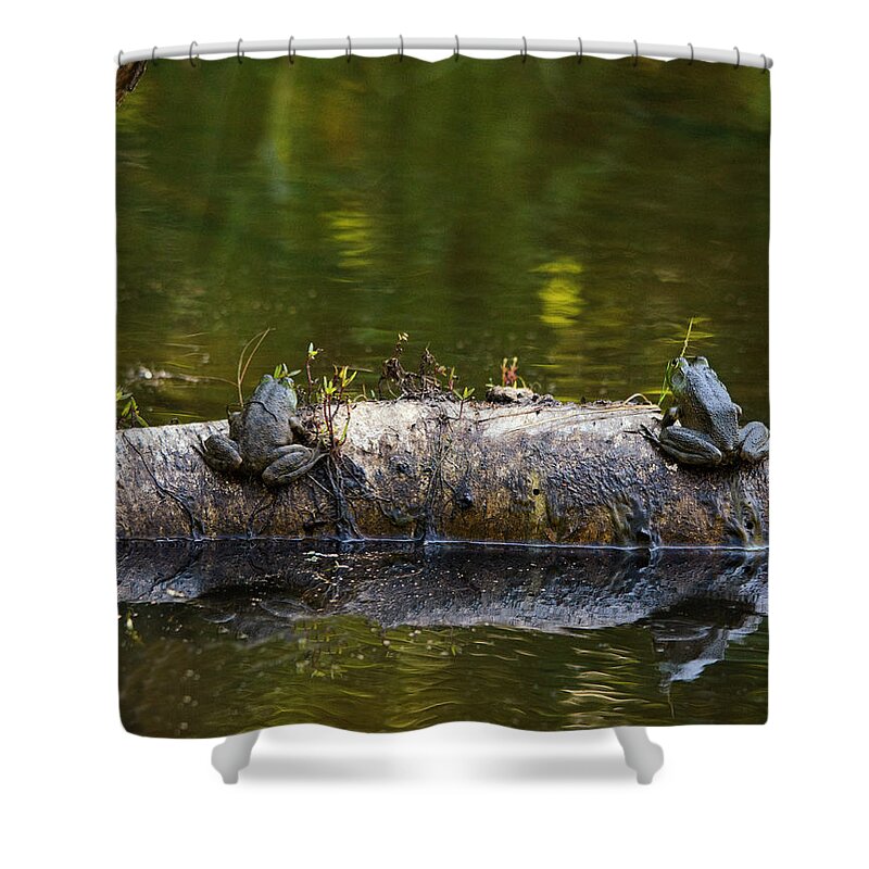 Frogs Shower Curtain featuring the photograph Don't You Love Mornings Like This by Sue Capuano