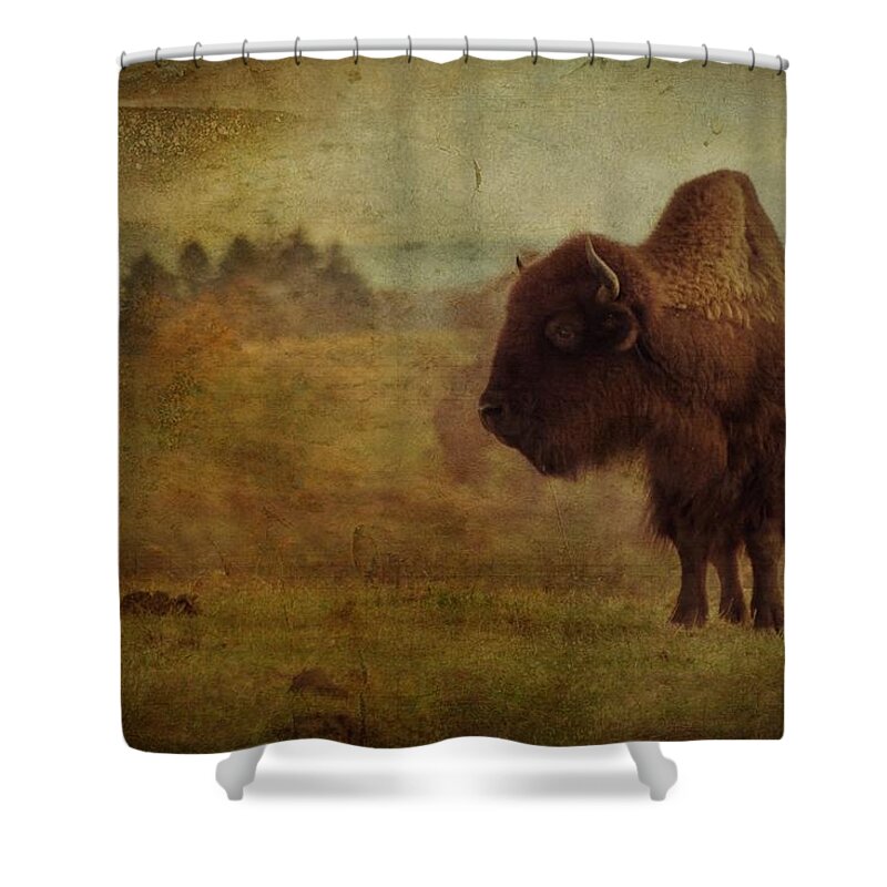 Bison Shower Curtain featuring the photograph Doo Doo Valley by Trish Tritz