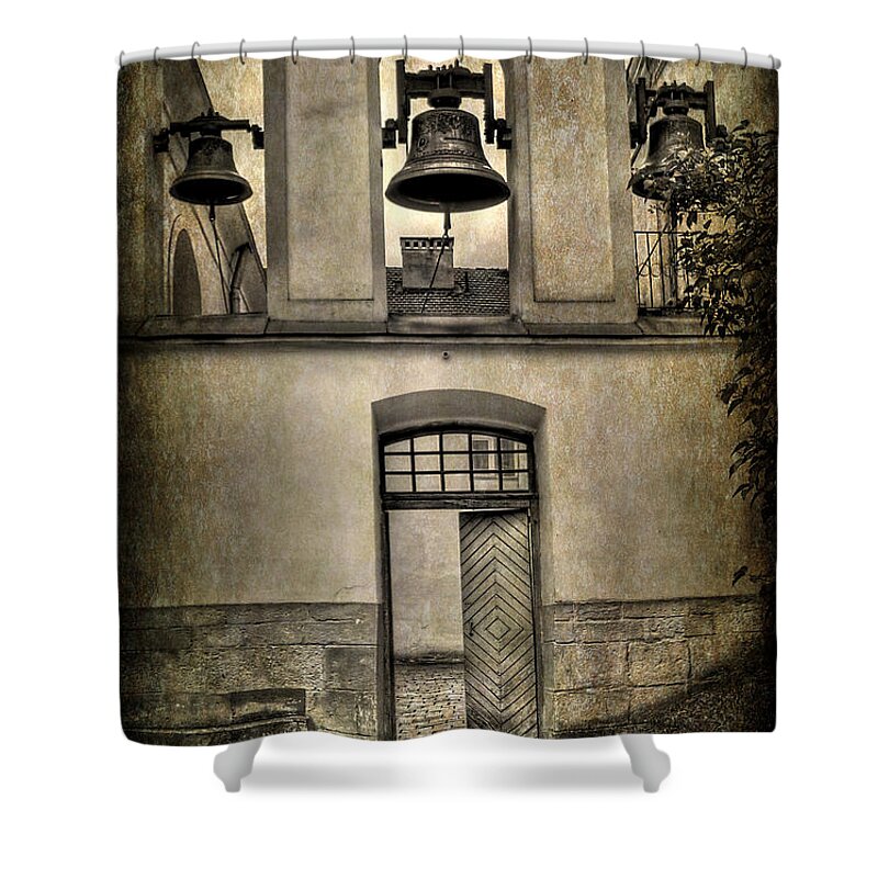 Lviv Shower Curtains
