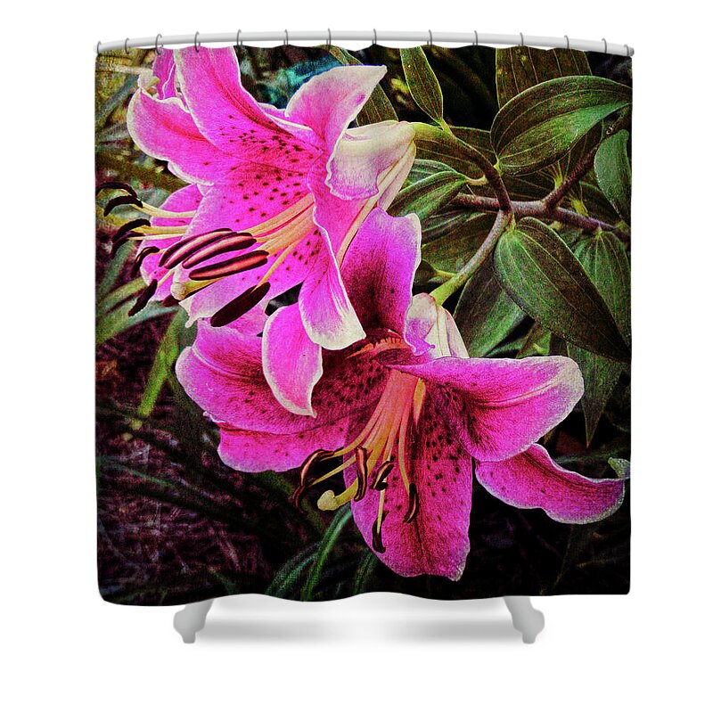 Fine Art Prints Shower Curtain featuring the photograph Double Beauty by Dave Bosse