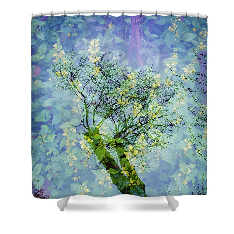 Den Haag Shower Curtain featuring the photograph Close Encounters-3 by Casper Cammeraat