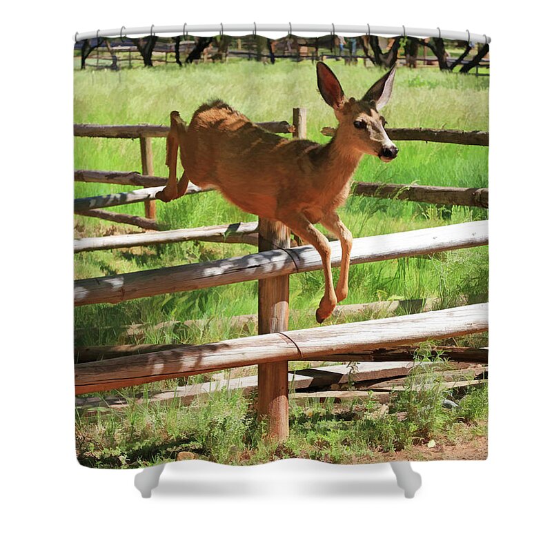 Capital Reef Shower Curtain featuring the photograph Double Jump by Donna Kennedy