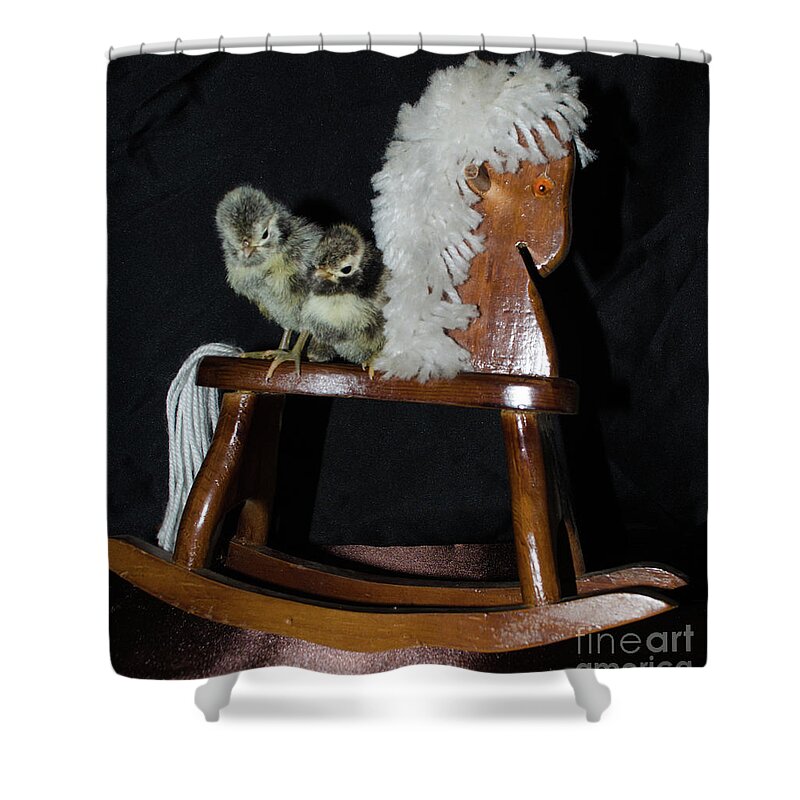 Bird Shower Curtain featuring the photograph Double Seat Rocking Horse by Donna Brown