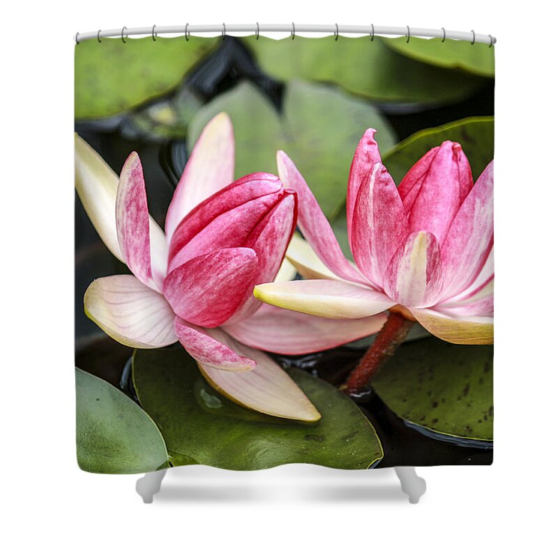 Water Shower Curtain featuring the photograph Double the Beauty by Marina Kojukhova