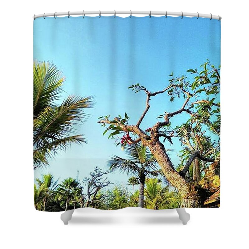 Panorama Shower Curtain featuring the photograph Tree and Blue Sky by Kelly Santana