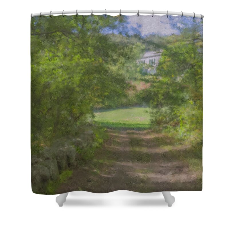 Mansion Shower Curtain featuring the painting Down from the Mansion by Bill McEntee
