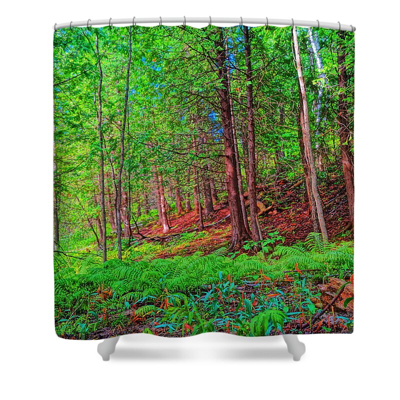  Shower Curtain featuring the photograph Down In The Valley by Daniel Thompson