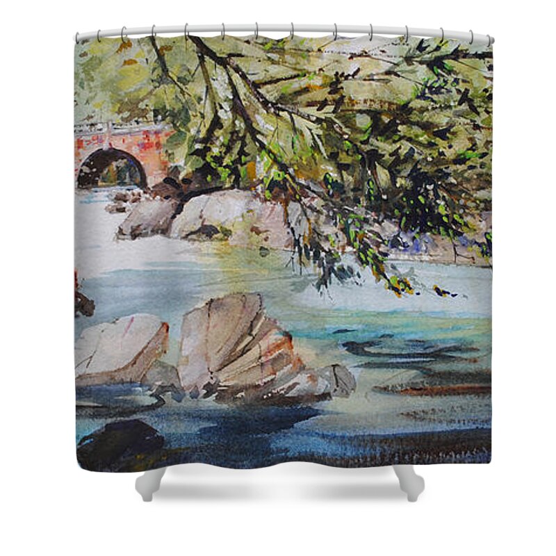 Woods Shower Curtain featuring the painting Down Stream by P Anthony Visco