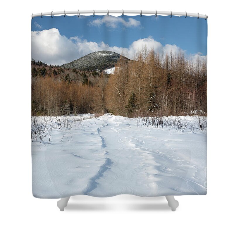 Albany Shower Curtain featuring the photograph Downes - Oliverian Brook Ski Trail - White Mountains New Hampshire by Erin Paul Donovan