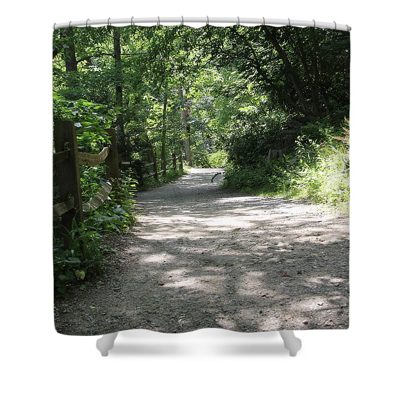 Path Shower Curtain featuring the photograph Downward Path by Allen Nice-Webb