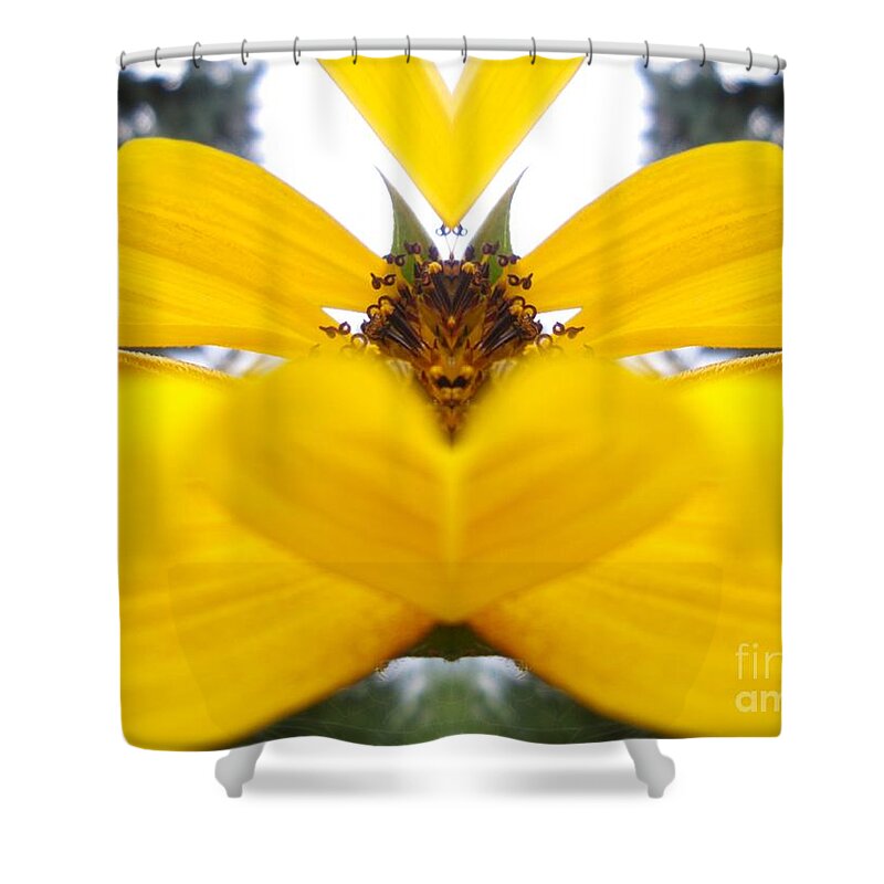 Sunflower Shower Curtain featuring the photograph Dragon Sunflower by Sonya Chalmers