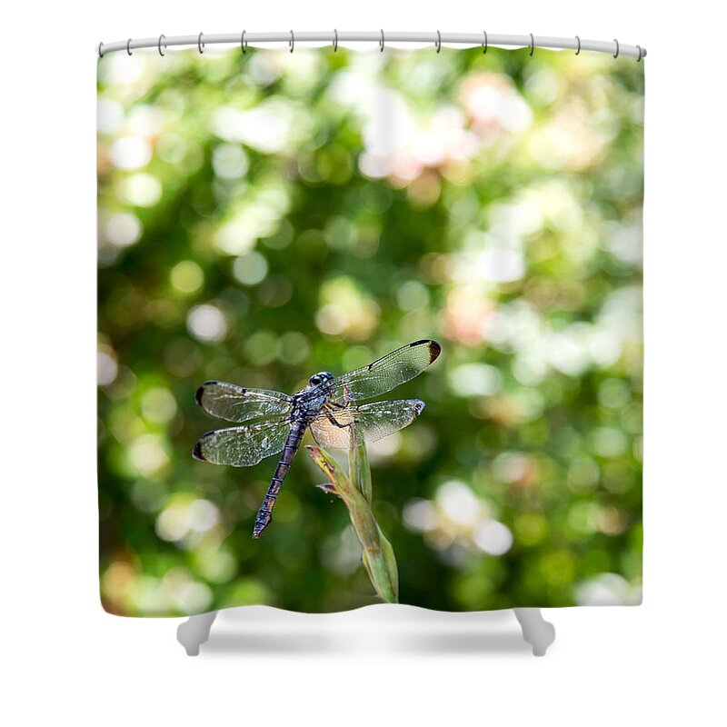 Dragonfly Shower Curtain featuring the photograph Dragonfly-1 by Charles Hite