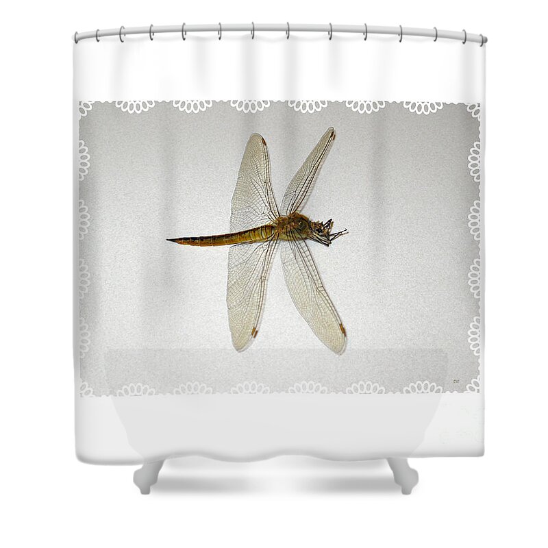 Dragonfly Shower Curtain featuring the photograph Dragonfly Collection. Image 5.5 by Oksana Semenchenko