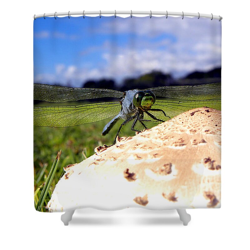 Dragonfly Shower Curtain featuring the photograph Dragonfly on a mushroom by Christopher Mercer