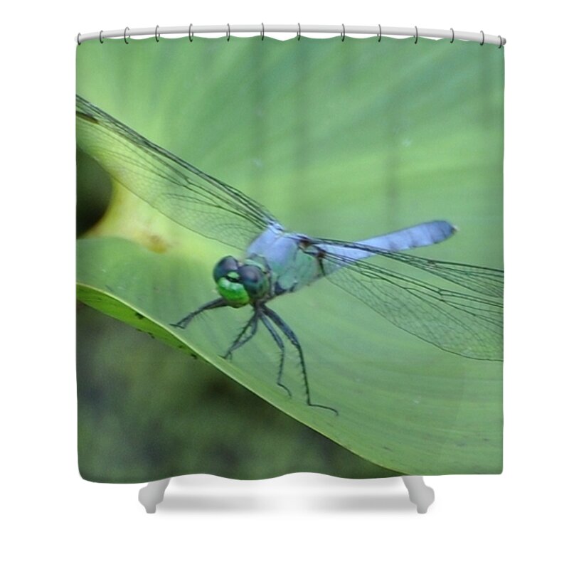  Shower Curtain featuring the photograph Dragonfly on Lily by Mark Valentine