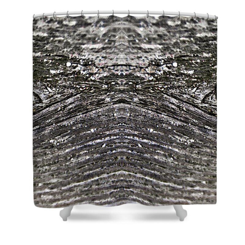 Abstract Shower Curtain featuring the digital art Dragons Leer by Scott Evers
