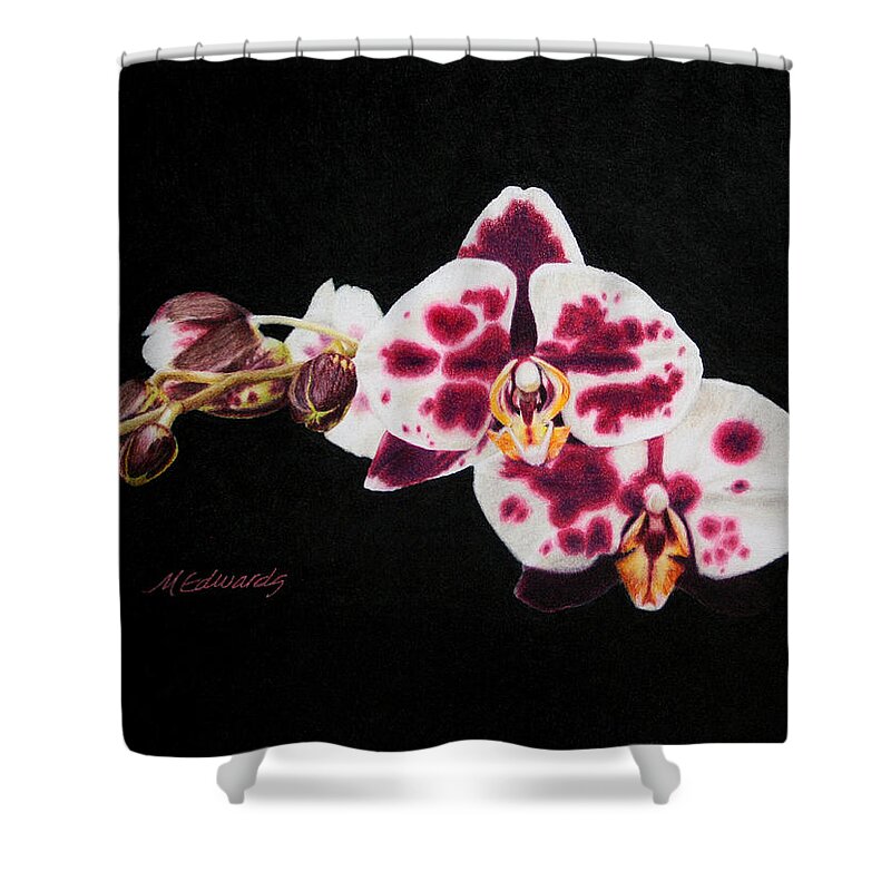 Color Pencil Shower Curtain featuring the drawing Drawing of Polka Dot Moths by Marna Edwards Flavell