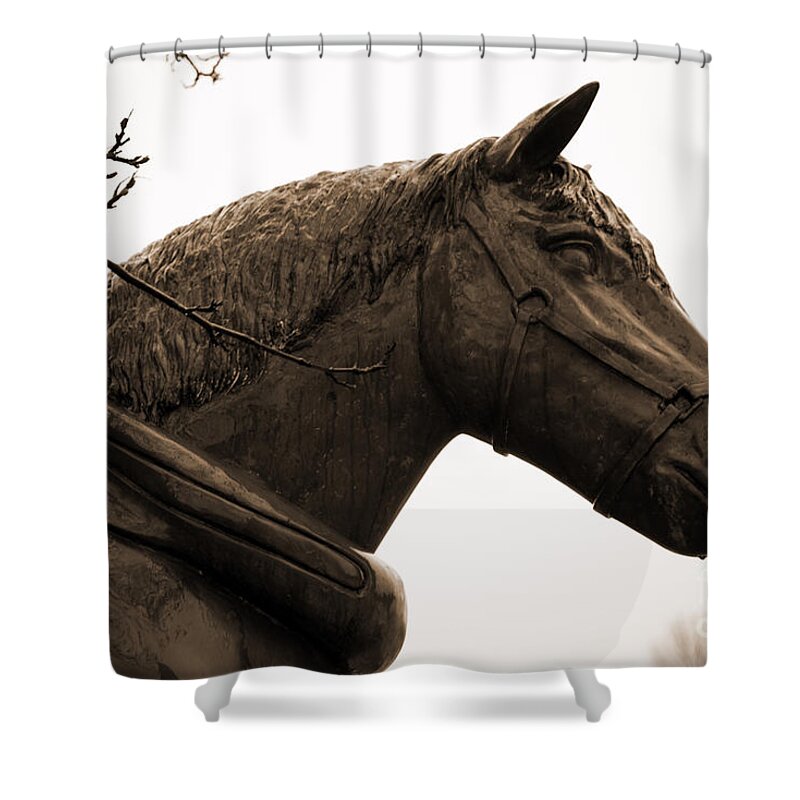 Brewery Shower Curtain featuring the photograph Dray or Heavy Horse Remembered by Brenda Kean