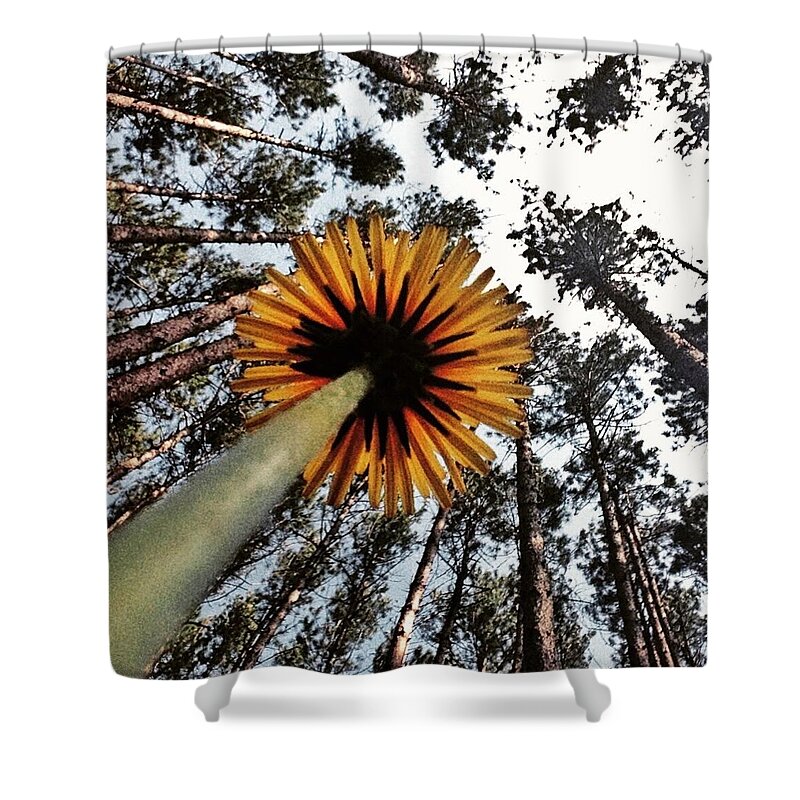 Nature Shower Curtain featuring the photograph Dream Big by Andrew Weills