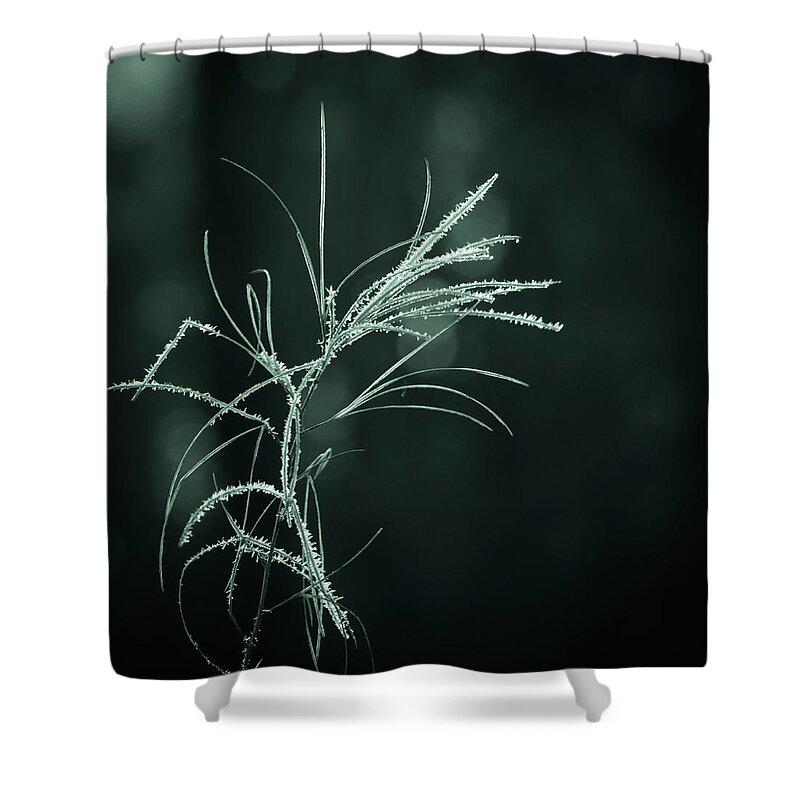 Dream Catcher Shower Curtain featuring the photograph Dream Catcher by Mary Amerman