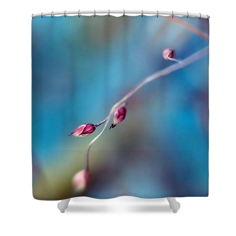 Abstract Shower Curtain featuring the photograph Dream by Lauren Radke