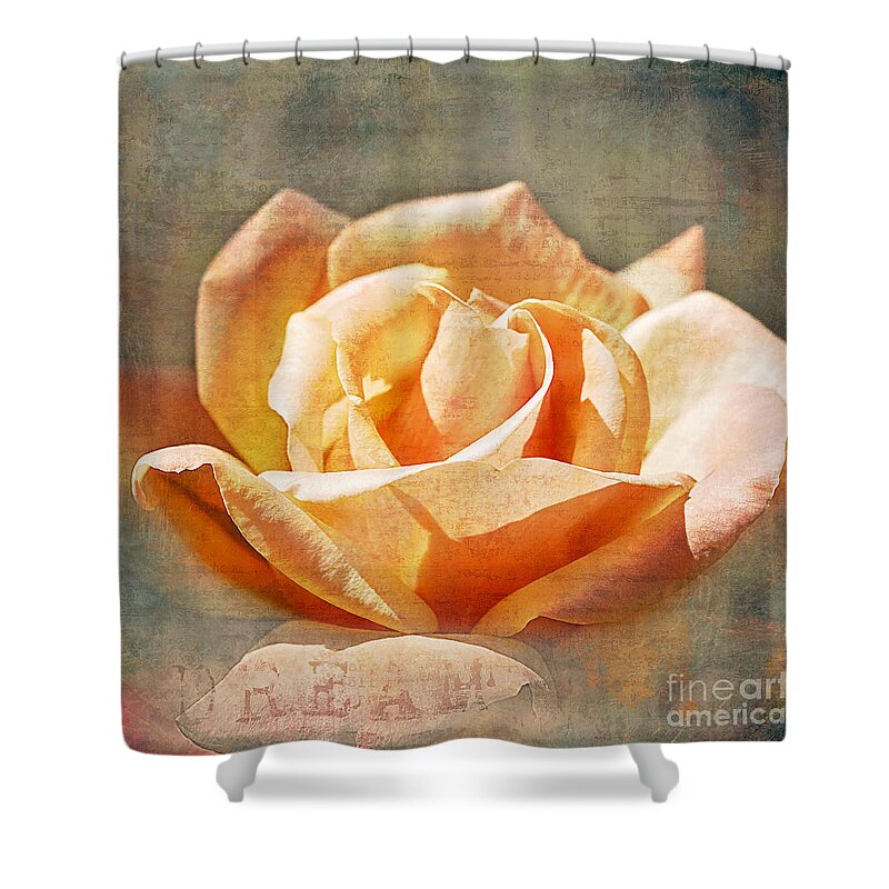 Rose Shower Curtain featuring the photograph Dream by Linda Lees