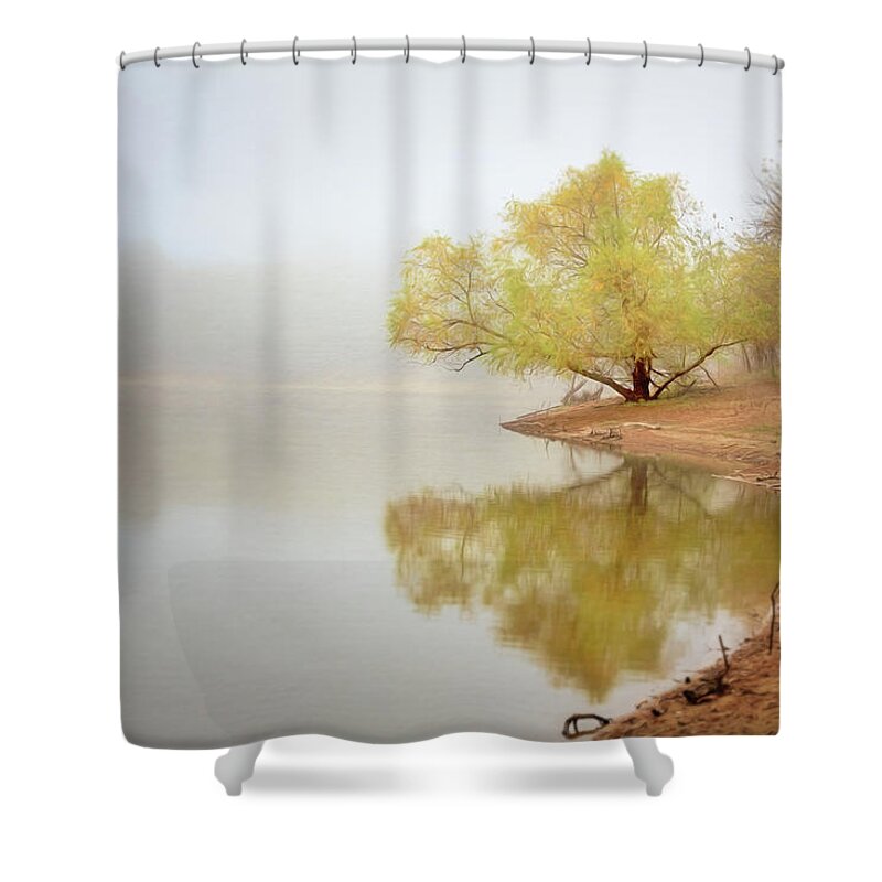 Background Shower Curtain featuring the photograph Dream Tree by Robert FERD Frank