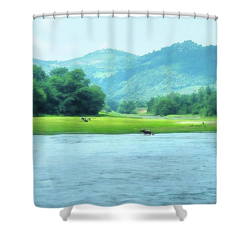 Traveller Shower Curtain featuring the photograph Animals in Li River by Kelly Santana