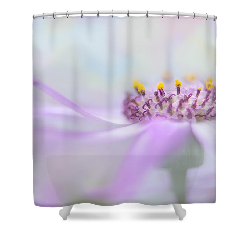  Shower Curtain featuring the photograph Dreamy by Ann Bridges