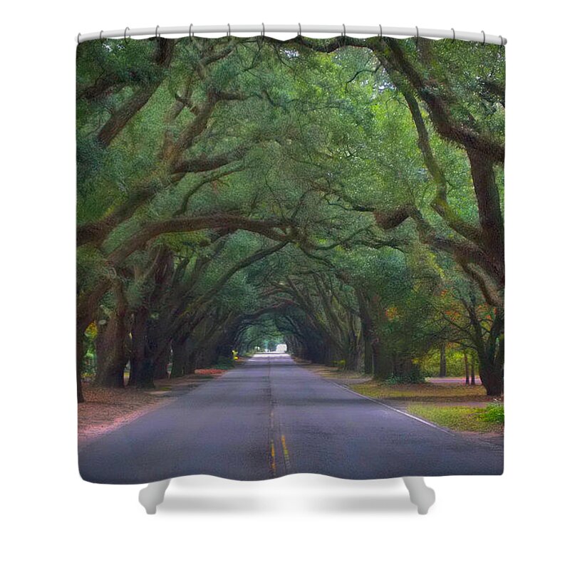 Scenic Tours Shower Curtain featuring the photograph Dreamy Boundry by Skip Willits