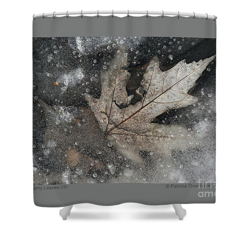 Leaf Shower Curtain featuring the photograph Dreamy Leaves-VIII by Patricia Overmoyer