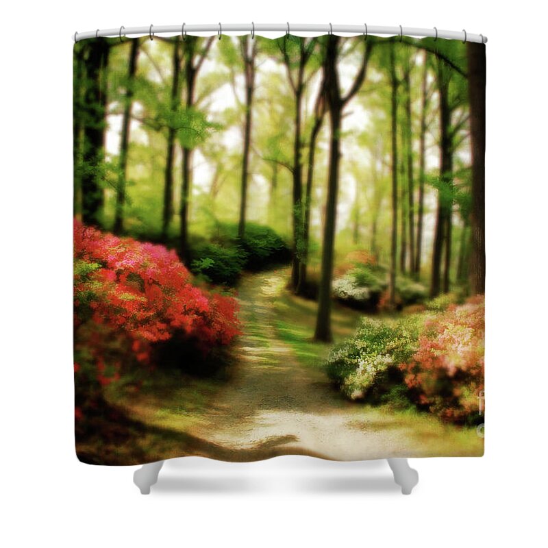 Landscape Shower Curtain featuring the photograph Dreamy Path by Lois Bryan