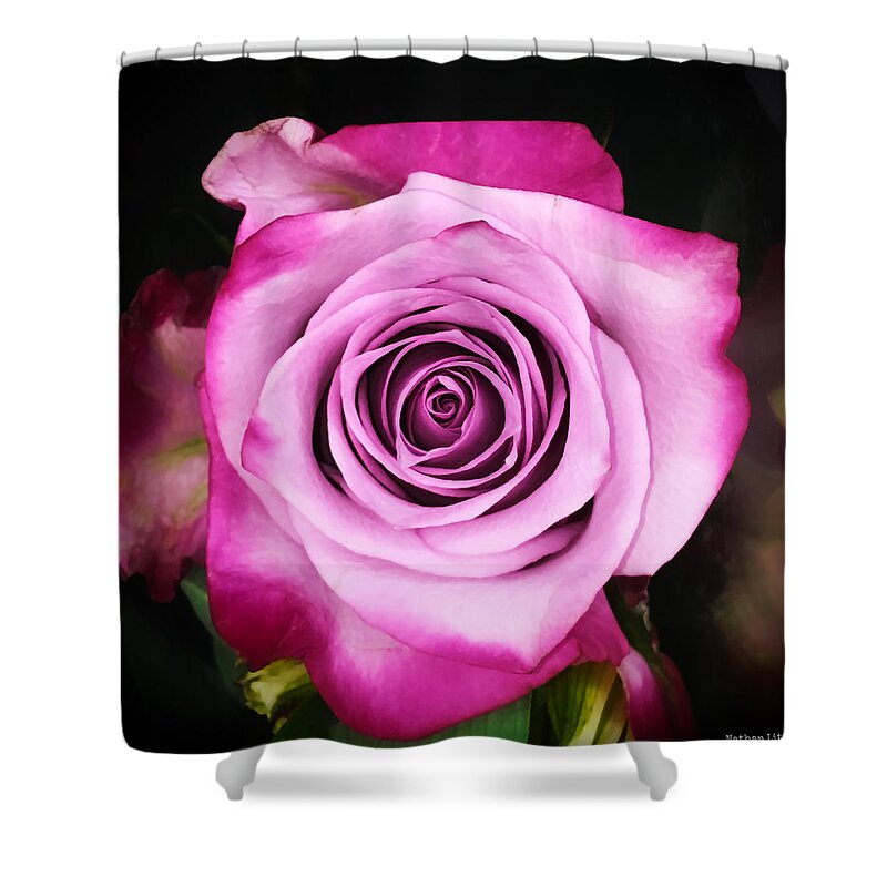 Rose Shower Curtain featuring the photograph Dreamy Pink by Nathan Little